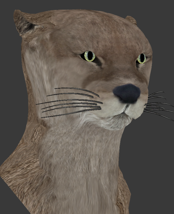image.thumb.png.b78bf170b31fe3fae30b0d2345978f7a.png