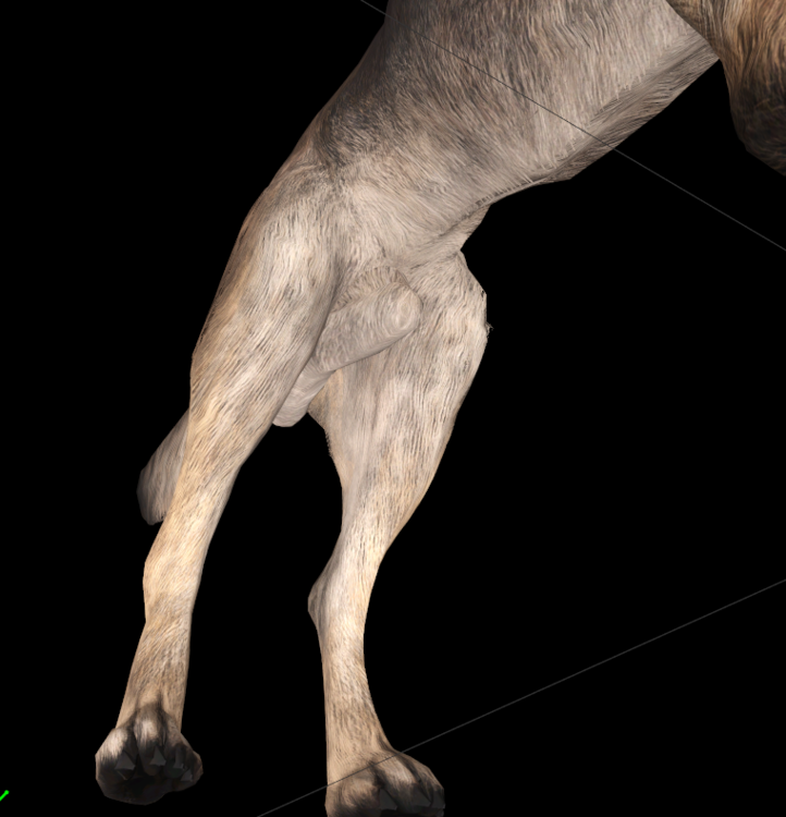 2.PNG