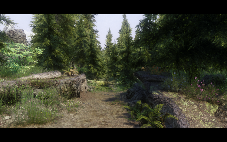 5a2291303b312_ElderScrollsVSkyrimScreenshot2017_11.30-01_45_37_59.thumb.png.89ae301ed6671484ac0970f937357f8e.png