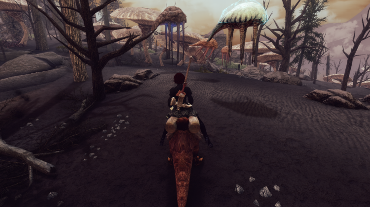 test 1 - Solstheim 2017-11-11 17.44.55.png