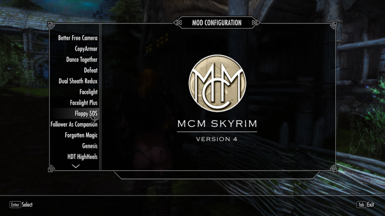 Skyrim 12_3_2017 4_20_13 PM.png