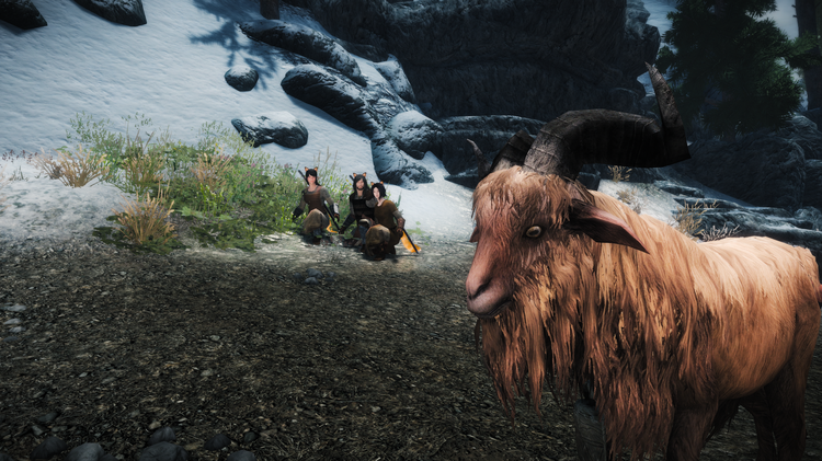 5a2649c74c58f_TheElderScrollsVSkyrimSpecialEditionScreenshot2017_12.05-07_33_47_19.thumb.png.f458e791face34efd2e1cecf5732c629.png