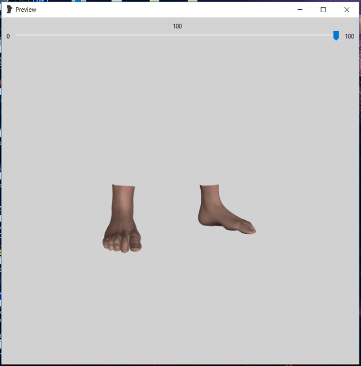 5a29e4d37db95_feetangle3.thumb.png.cb81b06e460679698bebe732973bc7df.png