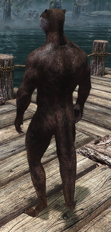 5a2d80f7ecc16_backview.thumb.jpg.99bf2b59047caa85e14a010292120401.jpg