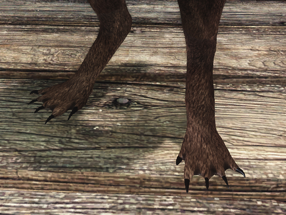 5a2d82e288df3_webfeet.jpg.7a36bd17536c70d3755edd5184df3966.jpg