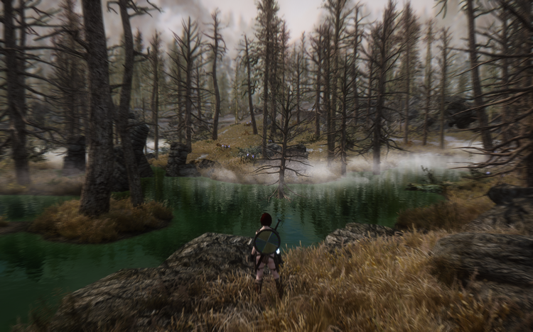 Elder Scrolls V  Skyrim Screenshot 2017.12.16 - 22.26.14.36.png
