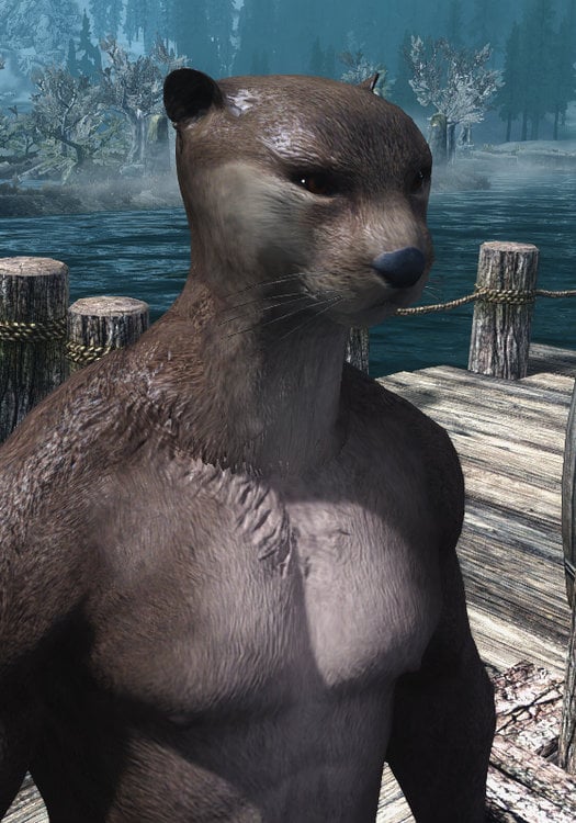 Otter 3Q.jpg