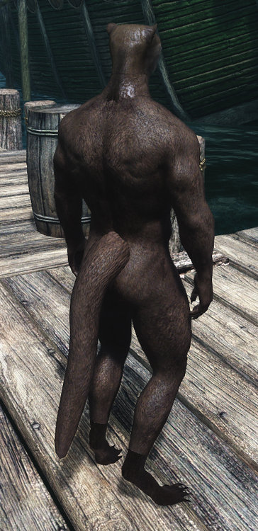 Otter back view.jpg