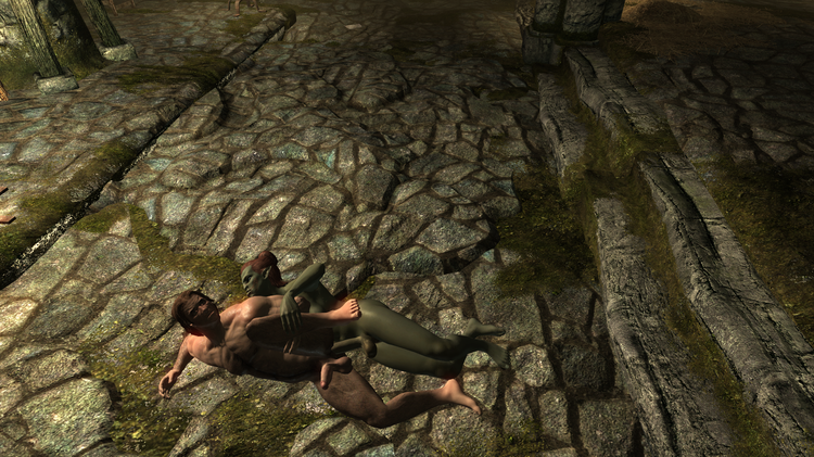 Elder Scrolls V  Skyrim Screenshot 2017.12.26 - 04.54.49.03.png