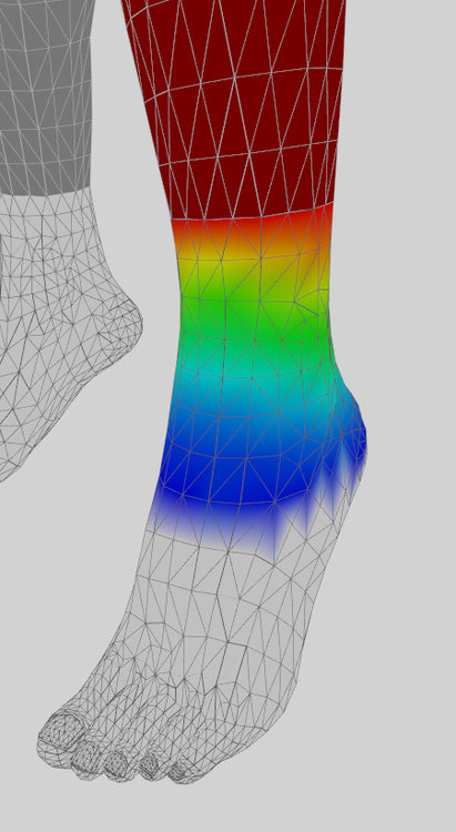Calf_bone_RIGHT.thumb.jpg.4d92e591dcba0566d7bd7dba29bb3a36.jpg