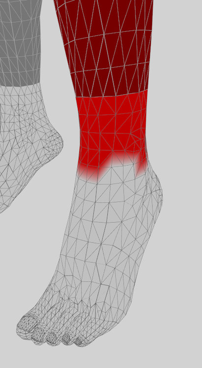 Calf_bone_WRONG.thumb.jpg.0f69f5a76ca2b91280cd199dd74d91cc.jpg