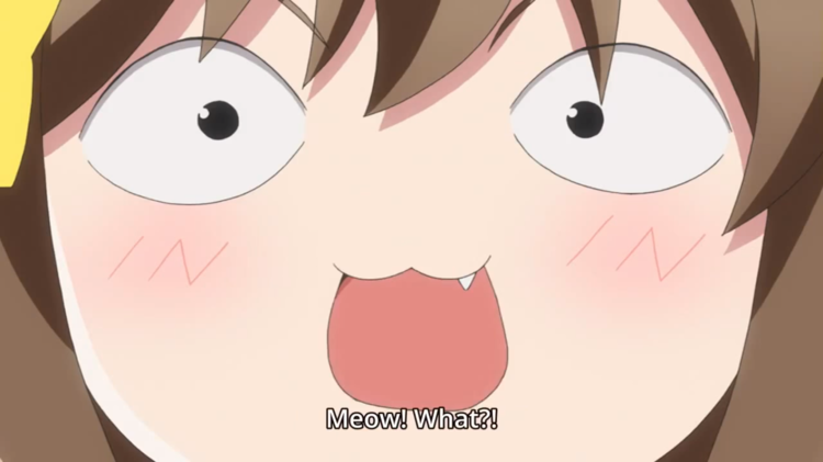 Etotama12.png