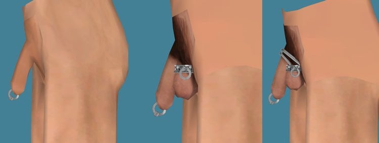 bbv6.jpg