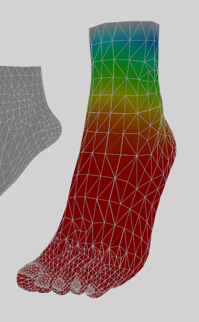 foot_bone.jpg.04c530a082aaf2de65fc03b098b09218.jpg