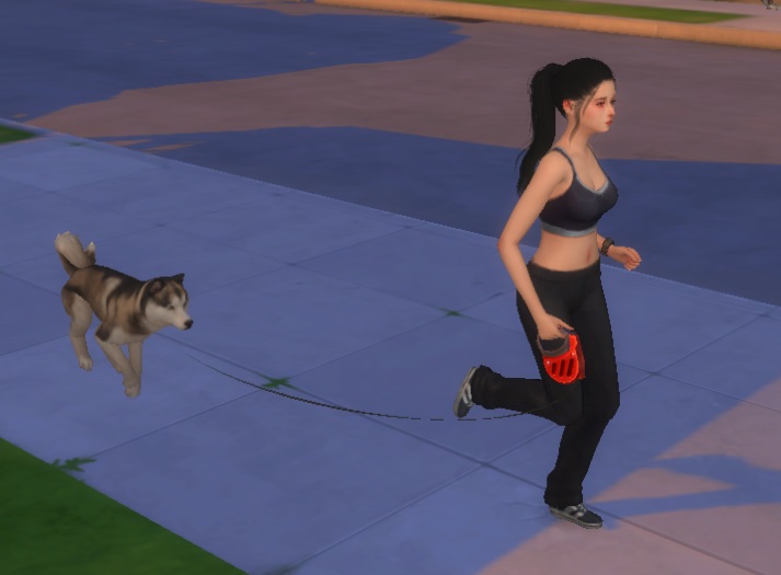 jog.jpg.388c2a823f19a0112e482fa11e03c5fb.jpg