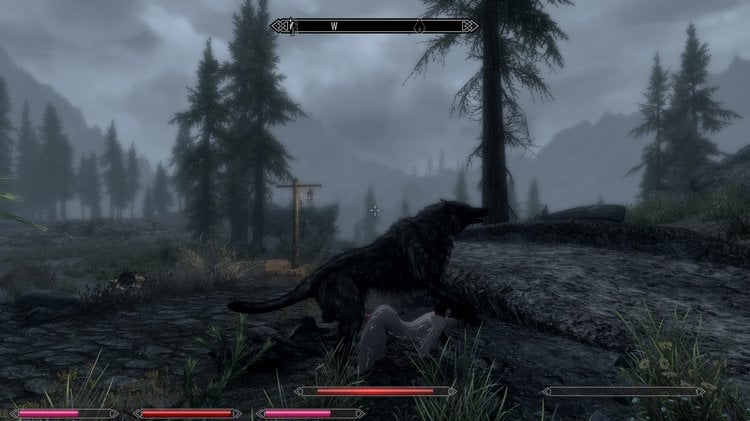 20160725181314_1Wolf.thumb.jpg.d7ecb97e45a2d5fcf872674987330d40.jpg