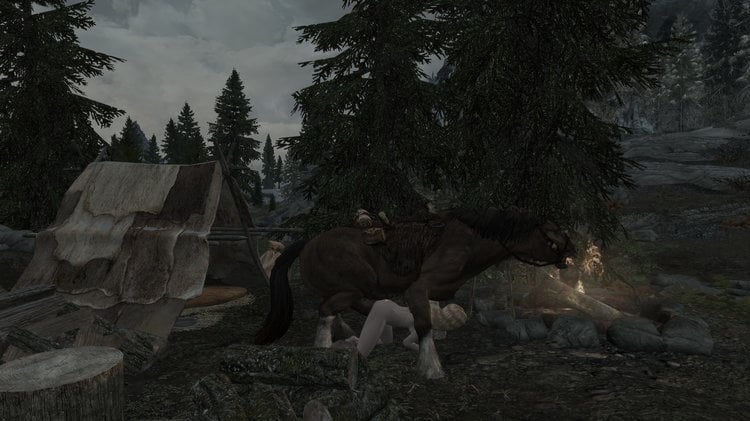 20170730172206_1Horse.thumb.jpg.6ed6508e9f26b8df998eca0c716d11fb.jpg
