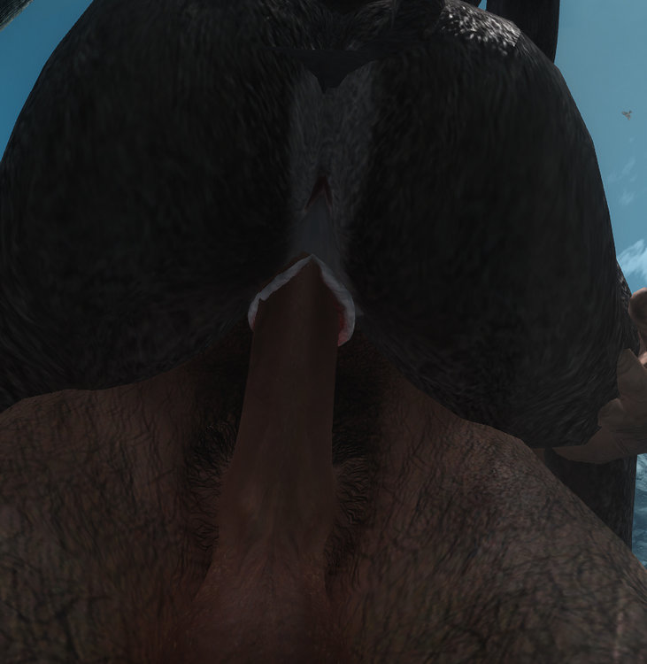 Pussy 3.jpg