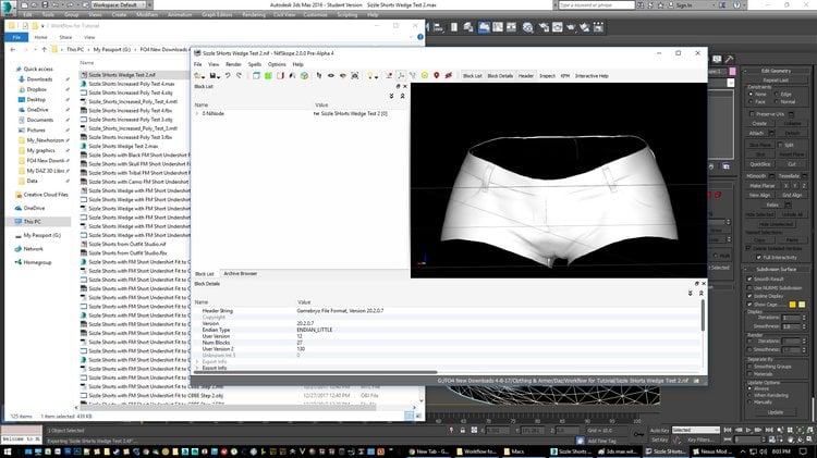 Nifskope befor smoothing.jpg