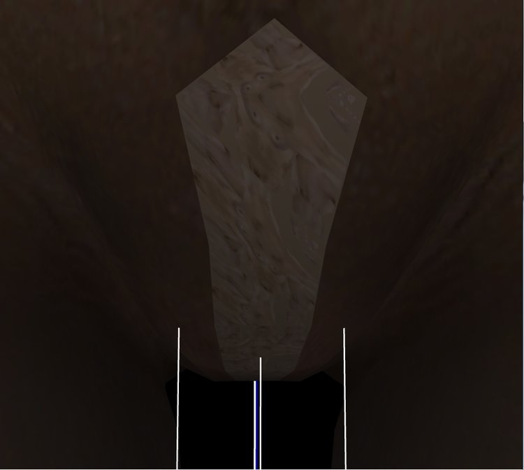 5a50a4383bc71_FemalebodytextureonVaginaArea.thumb.jpg.952929f0360660e323d8e322797740d8.jpg