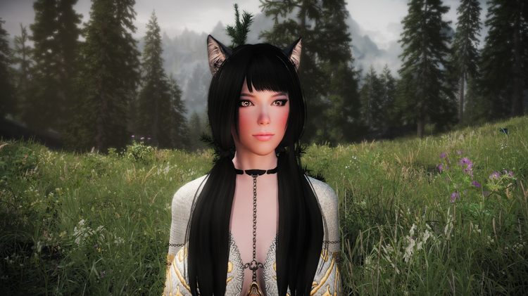 5a53d7f4b2de8_TheElderScrollsVSkyrimSpecialEditionScreenshot2018_01.08-17_23_34_10.thumb.png.528e5b01ea42eb4a0d5932df8ff4f011.png