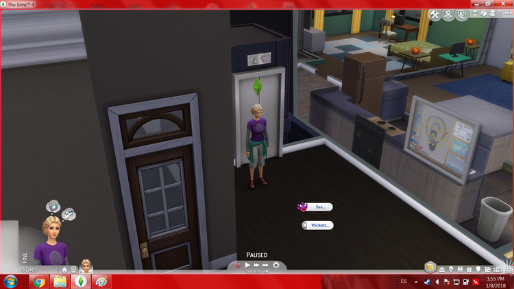 SIMS 2.png