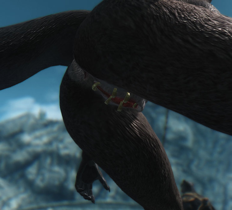 5a592ff8e2b5d_Close-uppussyview.thumb.jpg.ec88097904d2493ce39fff5ab99fc73e.jpg