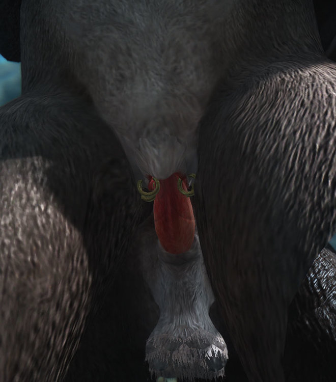 5a5930147bea5_pussyringsfrontview.thumb.jpg.bd387a44109d56906fd82a237733e68a.jpg
