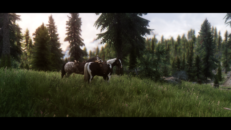5a5cf95b32cf0_Alosa-Skyrim2018-01-0200_36_35.thumb.png.fceaba7d2074f526377e54c7bcfcb489.png