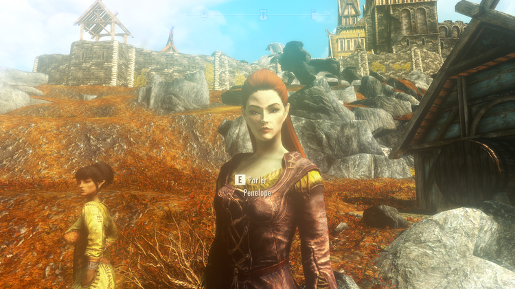 5a661304df908_Skyrimfollower004.thumb.png.20220b08fe3d2d0076fbf34310e3efaf.png