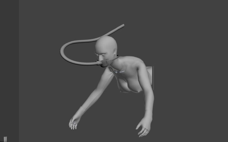 XPMS StuckInWallHarameseTrapFront.JPG