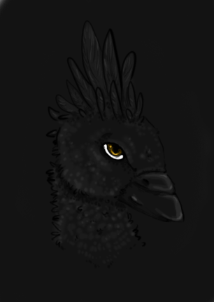 5a67a4a097bbd_Ulri-burd_gurl_FACIAL.png.a1804996a4ad159ddc838211f21db047.png