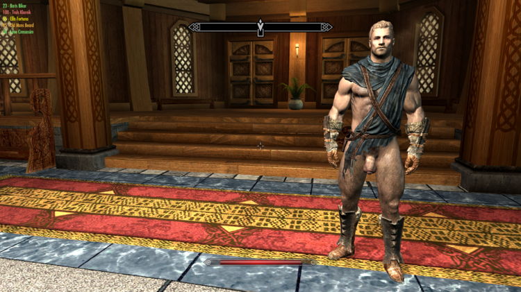 5a69d2379c8df_Skyrim19_01.201800_16_05.thumb.png.be9f467973eca6312afb704d1d818a46.png