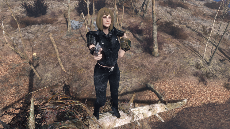 5a6b9761ee4f9_Fallout42018-01-1320-17-22-33.thumb.png.68ee93a32ef81c7d8c274e3ccb768f66.png