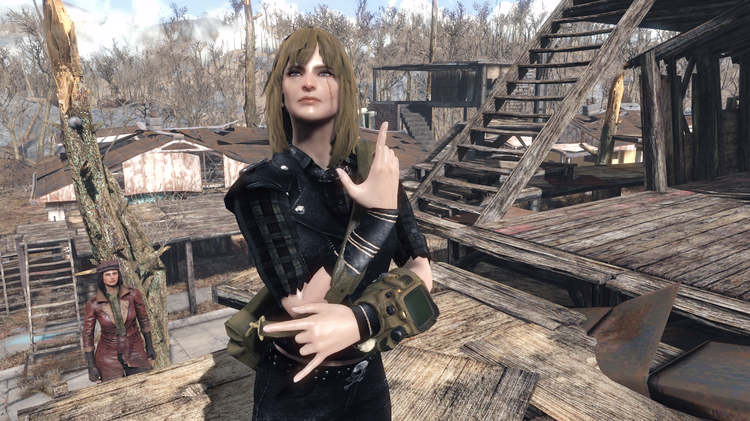 5a6b9774c663a_Fallout42018-01-2422-51-06-24.thumb.png.ef30829c35ce5540fbbb8aa0a37322d1.png