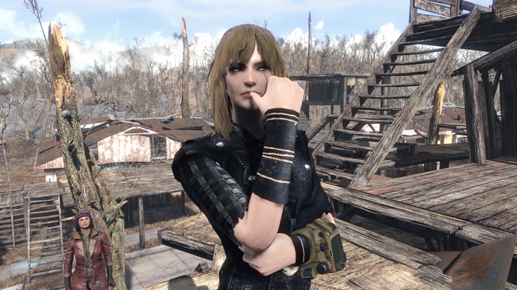 5a6b978e4b87d_Fallout42018-01-2422-52-44-43.thumb.png.cc2e39502c6ee40d525fc3668f763384.png