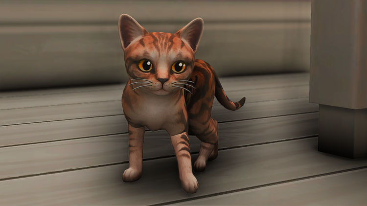 5a6fc1565bf3c_TS4_x642018-01-3000-26-58.thumb.png.d27e0a4adfa0795860f2334fbc5991f4.png