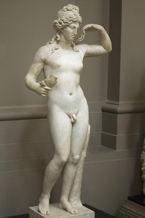 800px-Hermaphroditus_lady_lever.thumb.jpg.405b72884b7031e1b051f66d35c0aff2.jpg