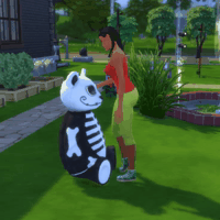 Bear_FirstTime.gif.18420a65cbcb2fdb9ab568775e3fd413.gif