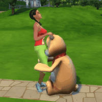 Bear_cinni.gif.2c5f7becbcace6eb948b9b1e94771e69.gif