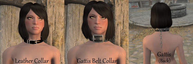 Collar.png