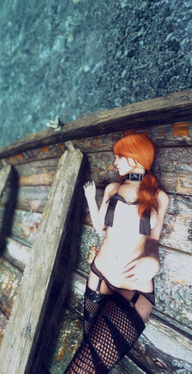 Passerina002.thumb.png.11bb3d2e94bdb6429e58468c9c8d31a4.png