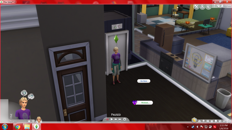 SIMS.png