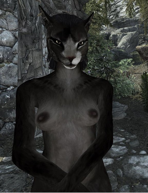 ScreenShot0.jpg