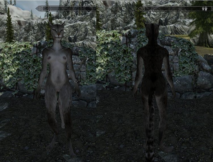 ScreenShot4.jpg