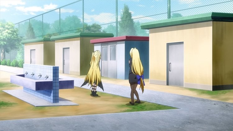 TLR_screen_yard.jpg