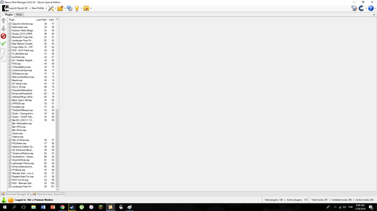 loadorder02.png