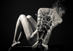 shibari.png.29b7740d994947043adc0fa1c282b7cb.png