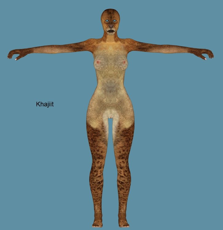 11k5.jpg