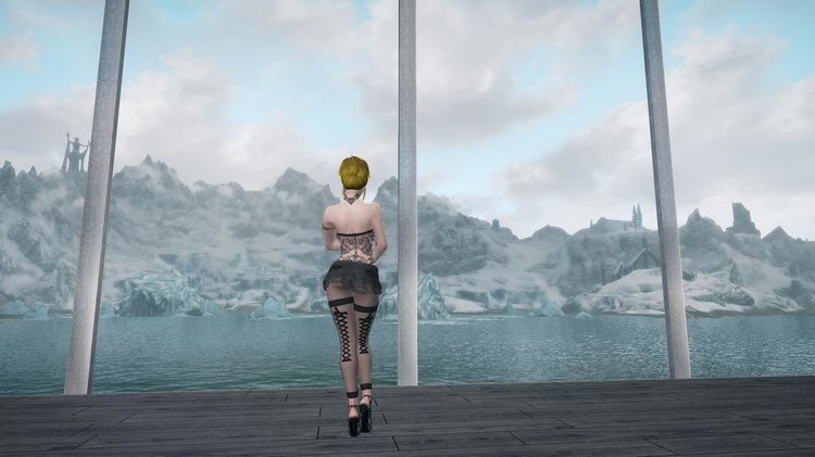 TESV 2018-02-09 04-29-27-19.jpg
